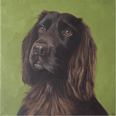 Rolo - SOLD